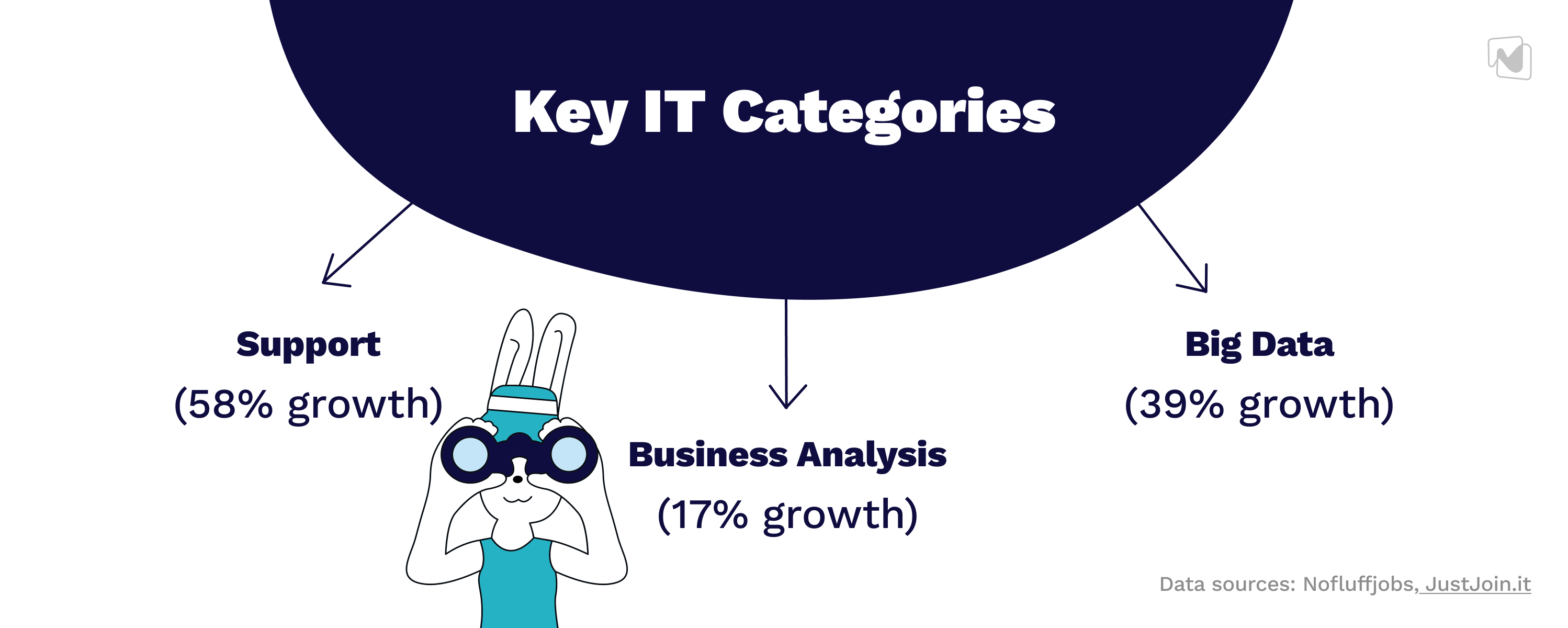 A Comprehensive Overview of the IT Job Market